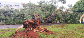 Vendaval deixa rastro de destruição em Dourados; confira as fotos