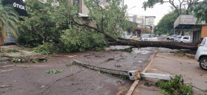 Vendaval deixa rastro de destruição em Dourados; confira as fotos