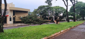 Vendaval deixa rastro de destruição em Dourados; confira as fotos