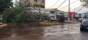 Vendaval deixa rastro de destruição em Dourados; confira as fotos
