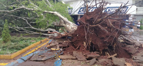 Vendaval deixa rastro de destruição em Dourados; confira as fotos
