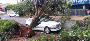 Vendaval deixa rastro de destruição em Dourados; confira as fotos