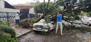 Vendaval deixa rastro de destruição em Dourados; confira as fotos