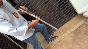 SIG prende 2 envolvidos em roubo a supermercado no Jardim Água Boa; 1 ainda está foragido