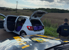 Apreensão da droga e prisão do motorista ocorreram na manhã de hoje; Foto: Divulgação/PRF