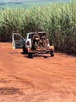 Homem é preso pela Defron acusado de maus-tratos a animais e caça em MS