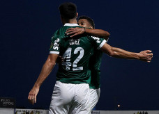 Foto: Divulgação Palmeiras