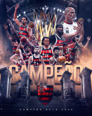 Imagem: Divulgação Flamengo