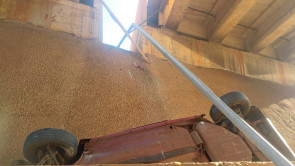 FOTOS: Motorista foge após cair de viaduto com Fiat Uno em Dourados