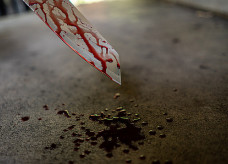 Foto: Ilustrativa