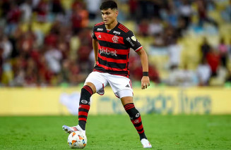 Foto: Marcelo Cortes/Flamengo