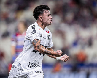 Foto: Raul Baretta/Santos FC