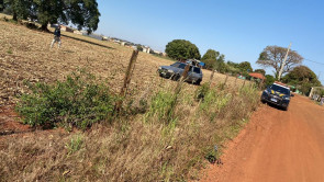 PRF apreende 804 quilos de maconha e prende 3 em ações contra o tráfico