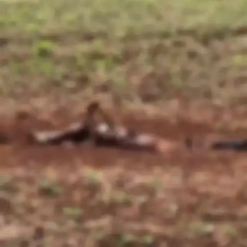 Corpo é encontrado enterrado em distrito da fronteira com o Paraguai