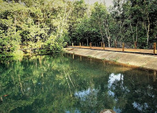 ICMS Ecológico é dividido entre os municípios que tenham parte de seu território integrando terras indígenas homologadas; Foto: Saul Schramm/Portal MS