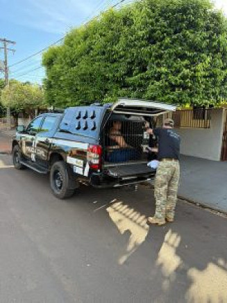 Uma das detidas durante a ação nesta terça-feira; Foto: Divulgação/PC