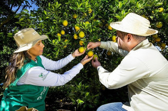 Terão prioridade no preenchimento das vagas produtores rurais e seus familiares, ou ainda, colaboradores de propriedades rurais