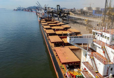 Exportações de milho de MS têm alta de 149,6 mil toneladas em outubro de 2025