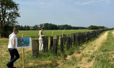 Floresta em pé: Lavoura e árvores reduzem impacto de mudança climática