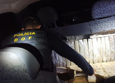 Droga seria entregue em Campo Grande; Foto: Divulgação/DOF