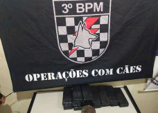 Foto: Adilson Domingos