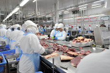 Setor industrial de MS criou 14 mil novas vagas entre janeiro e outubro de 2025