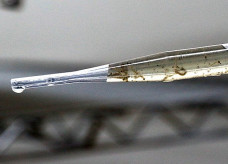 Foto: Edemir Rodrigues/Portal do MS