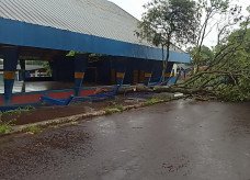 Foto: Sidnei Bronka/Ligado Na Notícia