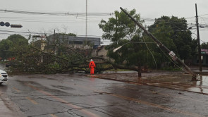 Chuva forte em Dourados volta a derrubar árvores e poste; confira as fotos