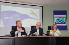 COP15 em MS vai atrair milhares de especialistas de pelo menos 100 países em março