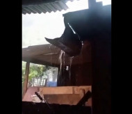 VÍDEO: Forte temporal atinge distrito da fronteira e destelha abrigo de ovelhas