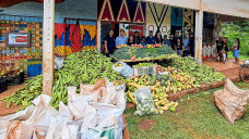 Prefeitura entrega 53 toneladas de alimentos para aldeias indígenas