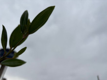 Com máxima de 38ºC, sexta tem previsão de chuva e até granizo em Dourados