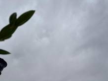 Semana começa com céu nublado, chuva e máxima de 31ºC em Dourados