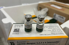 Dourados deve receber 377 doses da vacina contra dengue, define Saúde