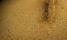 Agro cresce 11,7%, impulsiona PIB e ganha participação na economia