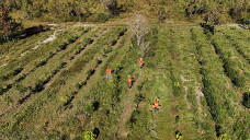 Programa destina R$ 6,1 milhões para projetos que preservem o Pantanal