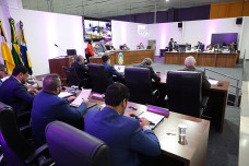 Vereadores analisam projeto que reconhece trabalho de protetores de animais