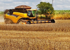 Foto: Saul Schramm/Portal MS