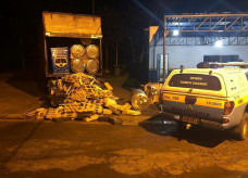 Maconha estava distribuída em quase 28 fardos em carregamento de placas e aquecedores solares (Foto: Divulgação/PMR)