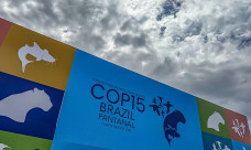 Cúpula de líderes orienta debates para COP15 em Campo Grande