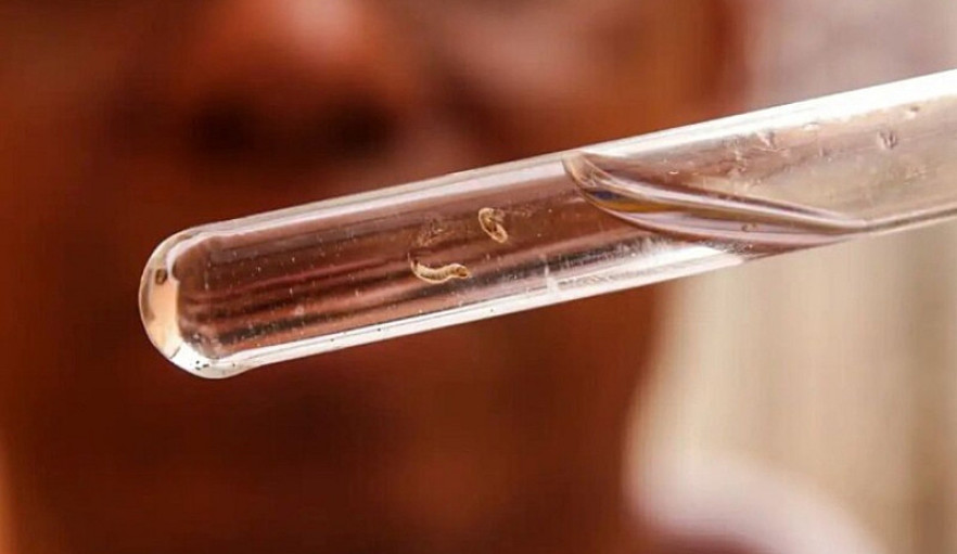 Dourados deixa de liderar casos e Fátima do Sul assume o primeiro lugar