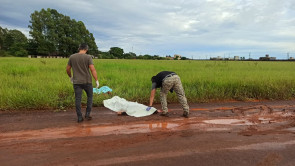 Homens são assassinados a golpes de faca no pescoço em Dourados