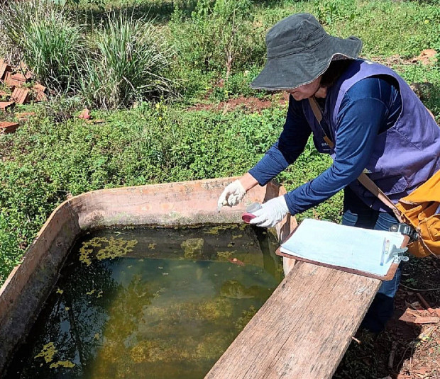 Dourados registra 1.025 casos confirmados de Chikungunya e 2.201 notificações