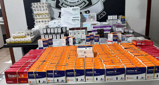 Operação apreende 551 caixas de emagrecedores e anabolizantes na BR-060