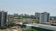 Avaliação internacional coloca Dourados entre as 50 cidades mais arborizadas do Brasil