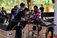 Dourados registra 2 mil casos prováveis de Chikungunya, mostra informe