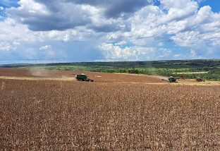 Após revisão, produtividade da soja passa de 52,8 para 61,7 sacas por hectare