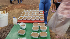 Receita Federal e Uems dão destino sustentável a alimentos apreendidos em MS