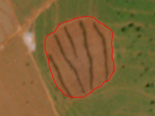 Dano ambiental no Cerrado vira alvo do MP e gera multas acima de R$ 100 mil